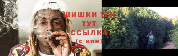 дмт Белокуриха