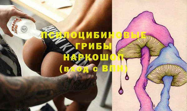 дурь Каменка