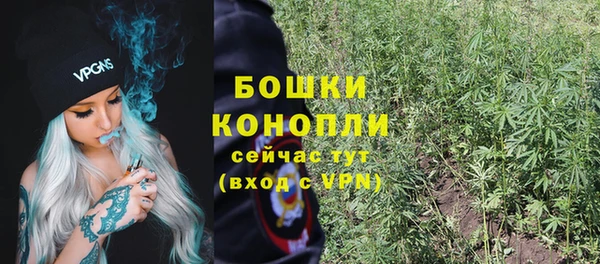 дмт Белокуриха