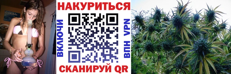 Каннабис Ganja  купить наркоту  Покровск 